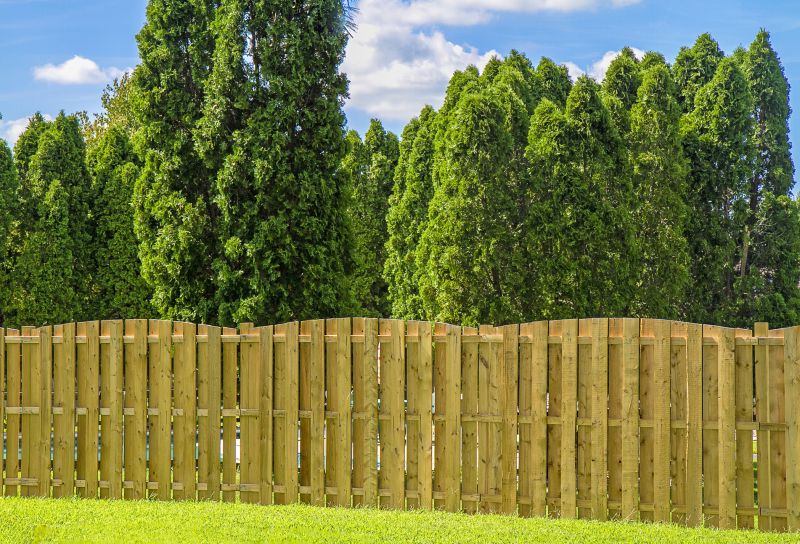 Privacy Wooden Fence